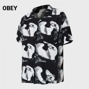   ȭƮƼ  (10441) A8895