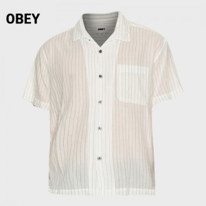   ȭƮ   (10442) A9033