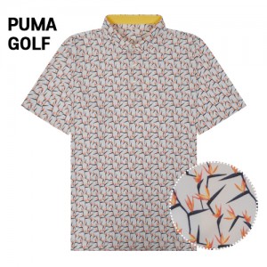 Ǫ   ȭƮ Ķ̽ īƼ(824-02) A8148 