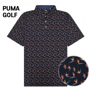 Ǫ   ̺ Ķ̽ īƼ(824-01) A8149 