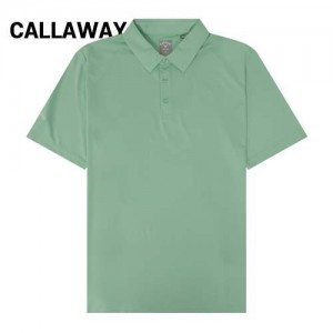 Ķ������ ���� ������� �����׸� ���� ��ũ ī��Ƽ (A0D7GG-313) A8500 