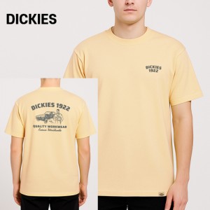 Ű  ̸ ׷ Ƽ (Z96-K53) A8938