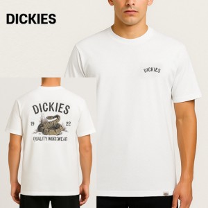 Ű  ȭƮ ũ ׷ Ƽ (Z99-0WH) A9002