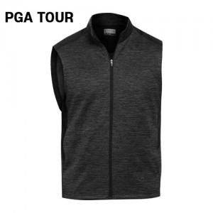 PGA   ĳ ø Ʈ (2DS-004) A7465