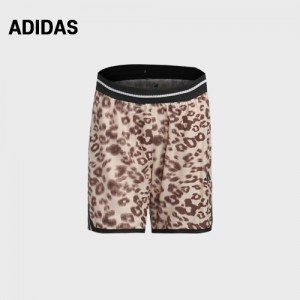 Ƶٽ  Ƽ ũ Ʈ ݹ(4467) A8918