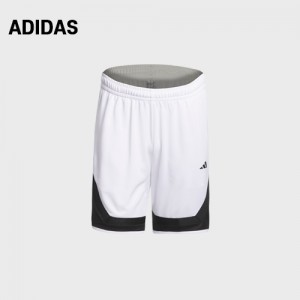 Ƶٽ  ȭƮ   9ġ ɼ ݹ(1849) A8969