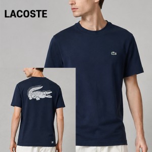 ���ڽ��� ������� ���̺� ��Ʈ������ �׷��� Ƽ(003-525) B1117